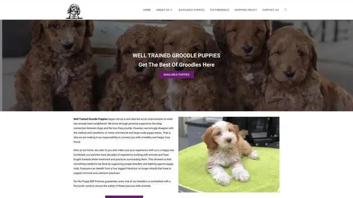 Screenshot of