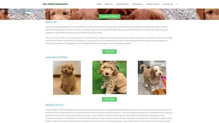 Screenshot of