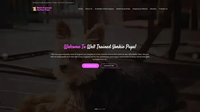 Screenshot of