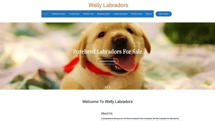 Screenshot of