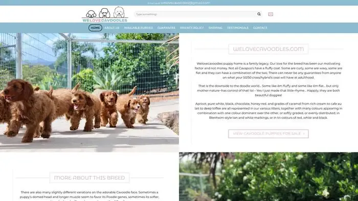 Screenshot of