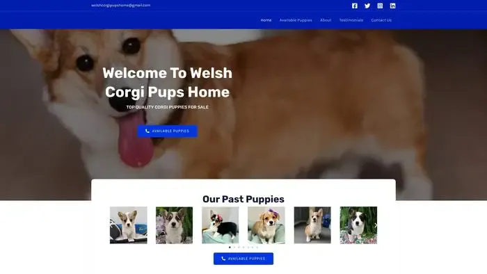 Screenshot of