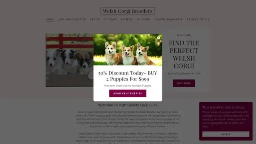 Screenshot of