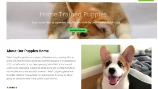 Screenshot of