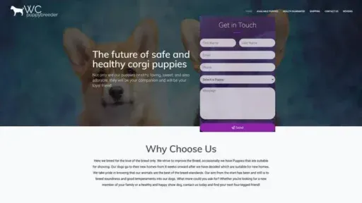 Screenshot of