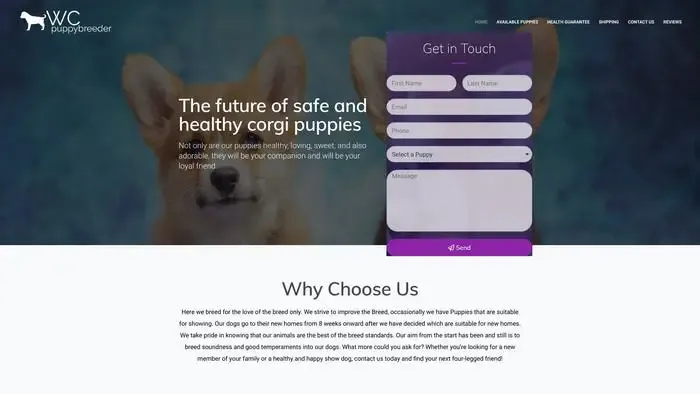 Screenshot of