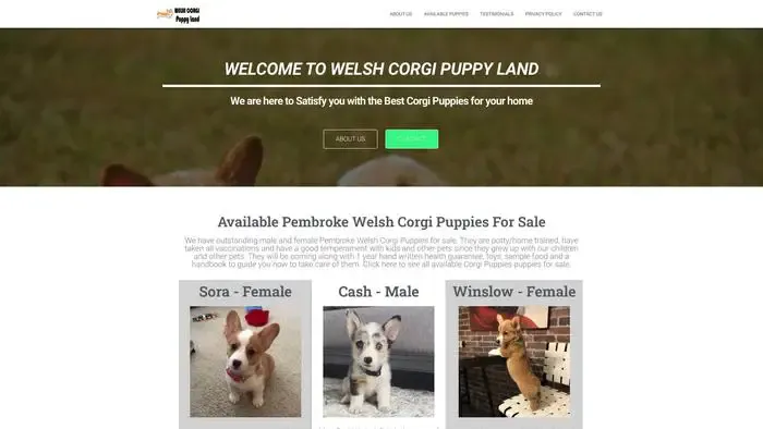 Screenshot of