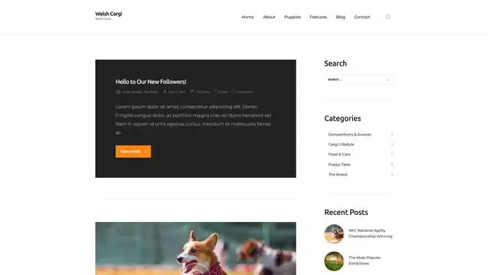 Screenshot of