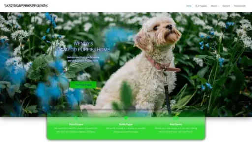 Screenshot of