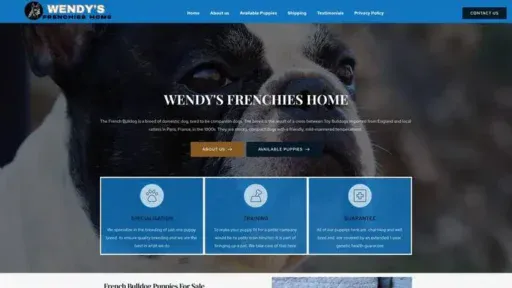 Screenshot of