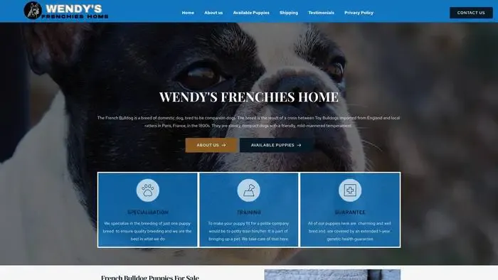 Screenshot of