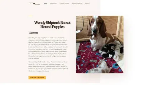 Screenshot of