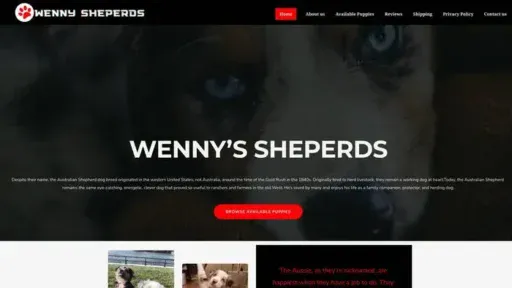 Screenshot of