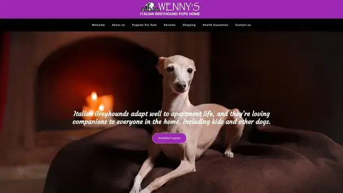 Screenshot of