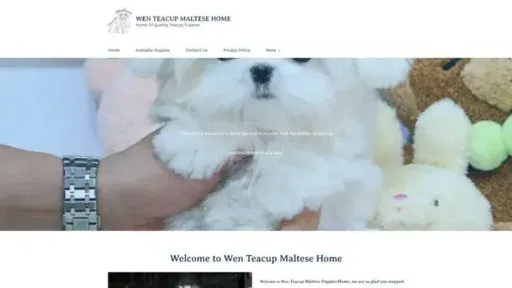 Screenshot of