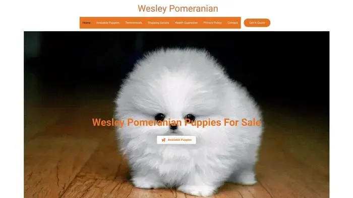Screenshot of