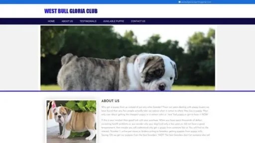Screenshot of