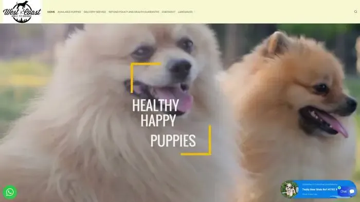 Screenshot of