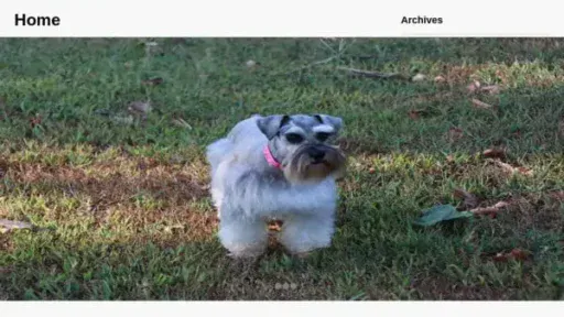 Screenshot of