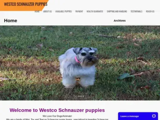 Screenshot of