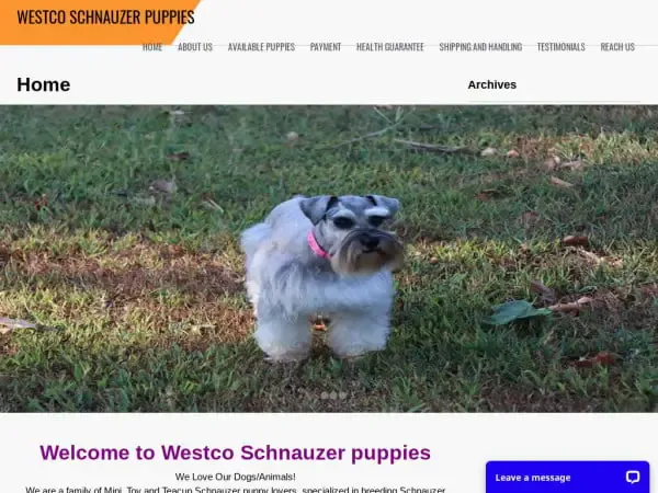 Screenshot of
