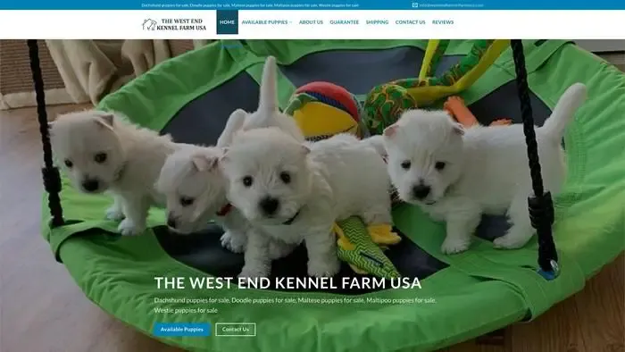 Screenshot of