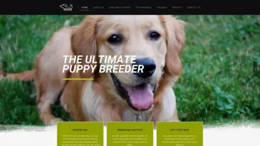 Screenshot of