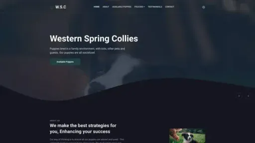 Screenshot of