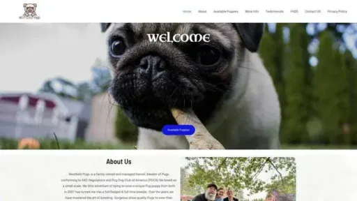 Screenshot of