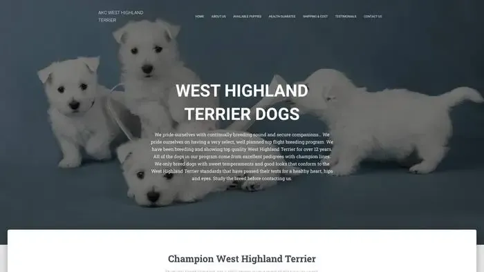 Screenshot of