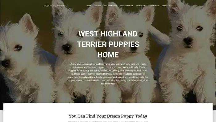 Screenshot of