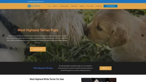 Screenshot of