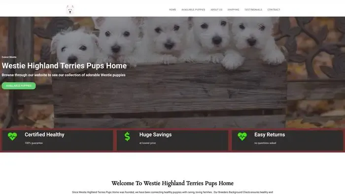 Screenshot of