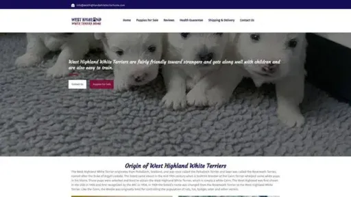 Screenshot of