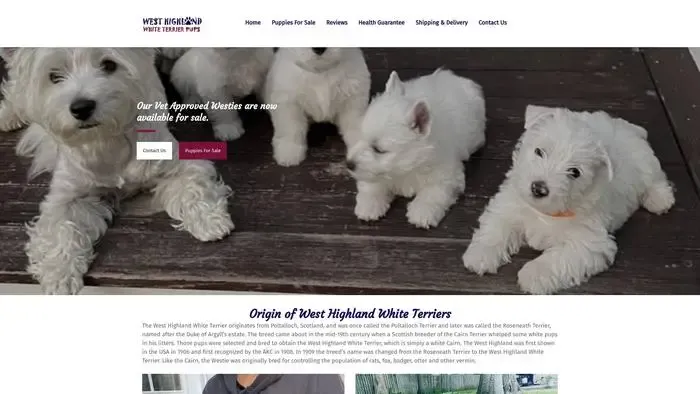 Screenshot of