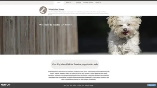 Screenshot of