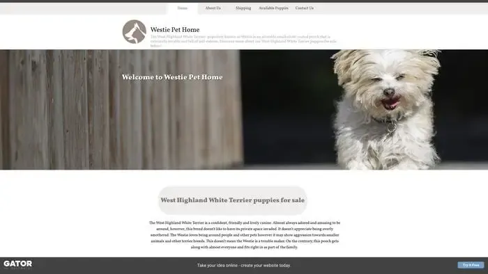 Screenshot of