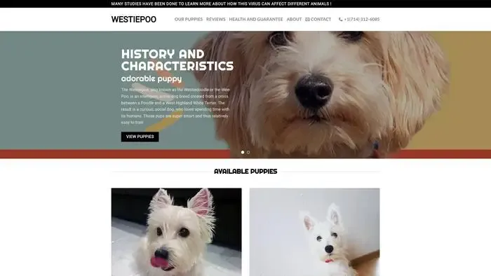 Screenshot of