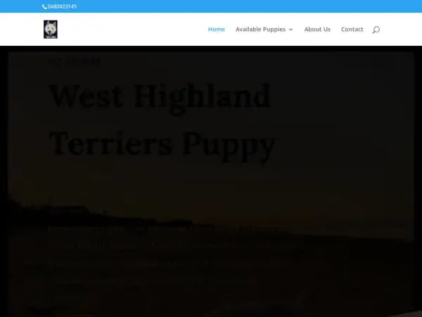 Screenshot of