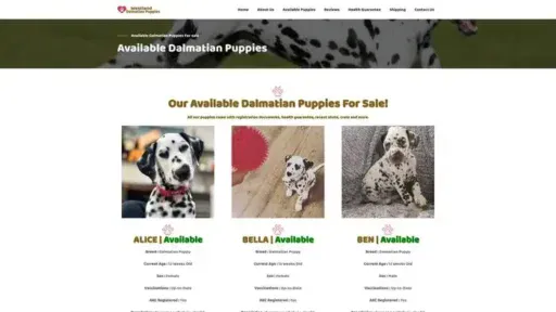 Screenshot of
