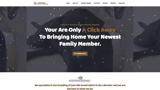 Screenshot of