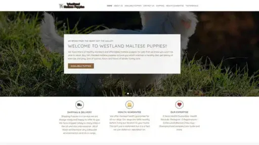 Screenshot of