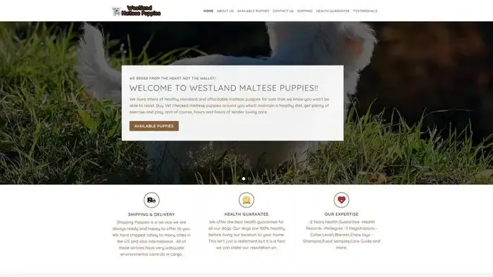Screenshot of