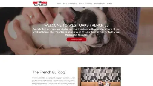 Screenshot of|