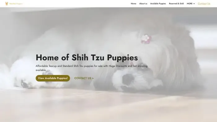 Screenshot of
