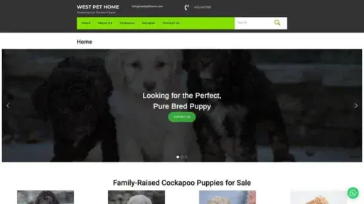 Screenshot of