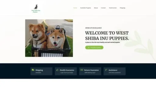 Screenshot of