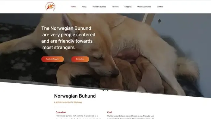Screenshot of