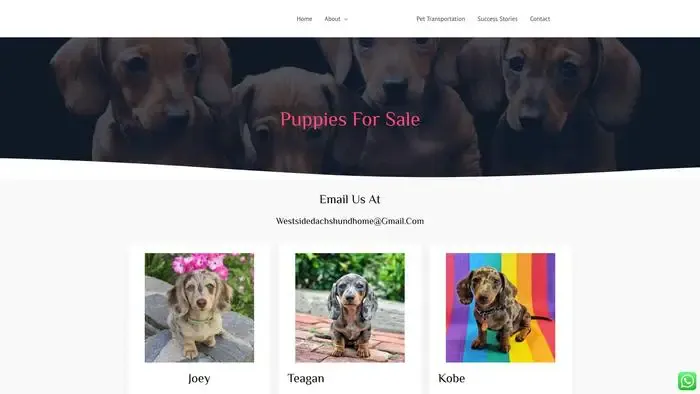 Screenshot of