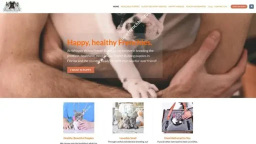 Screenshot of|